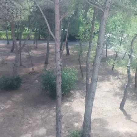 Tatil Evi Bilocale 4 Posti A Campoverdevillage
