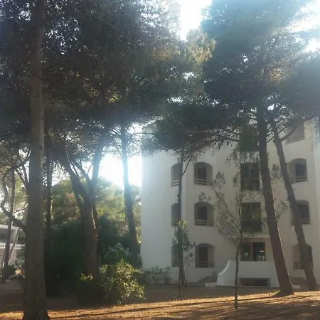 Bilocale 4 Posti A Campoverdevillage
